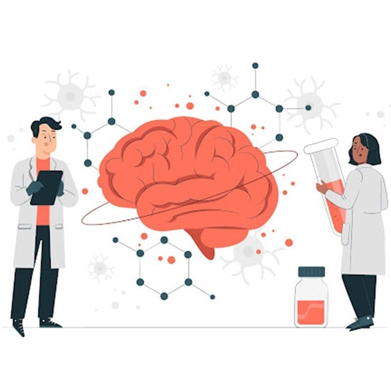 animation of scientist researching the brain