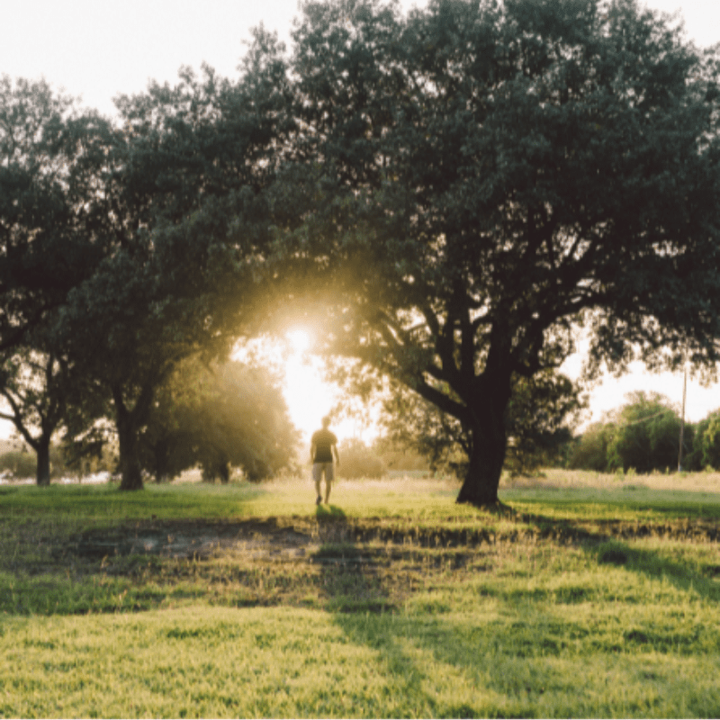 man walking in the open field