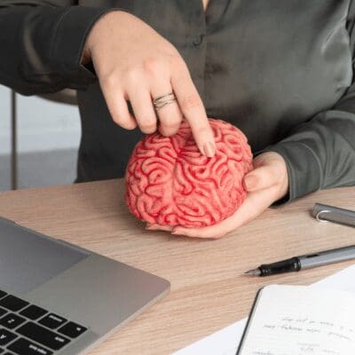 person pointing brain model, and brain waves