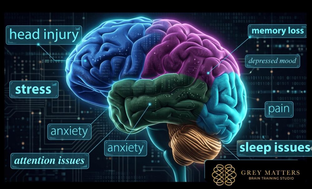illustration of brain map, parts of brain function